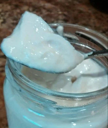DIY Homemade Dairy-Free Unsweetened Yogurt by Mimi Clark, Veggie Gourmet
