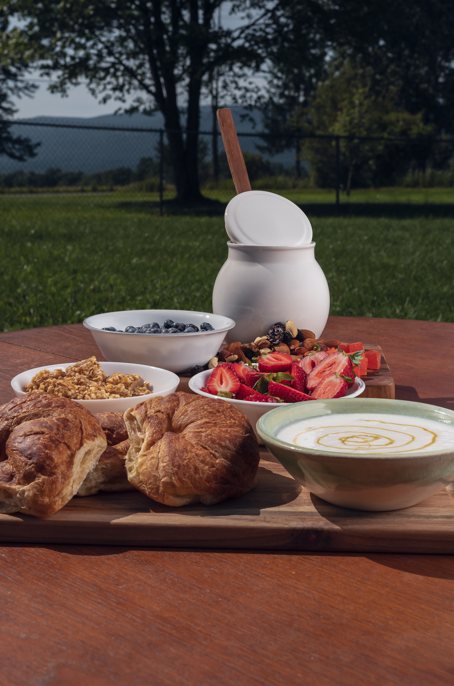 YoMagic Automatic Yogurt Maker